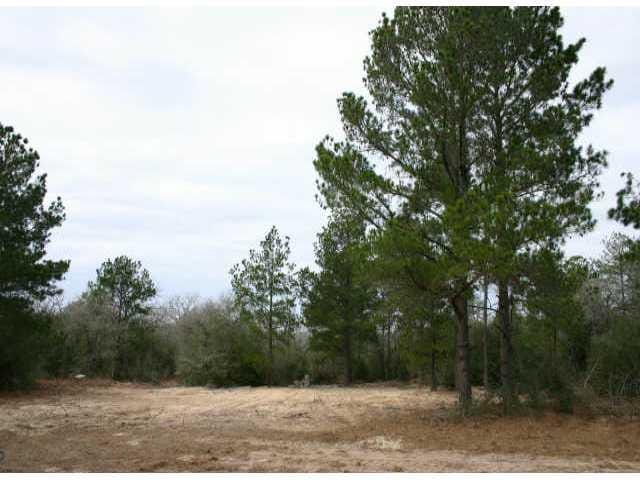 00 Chuckwagon RD