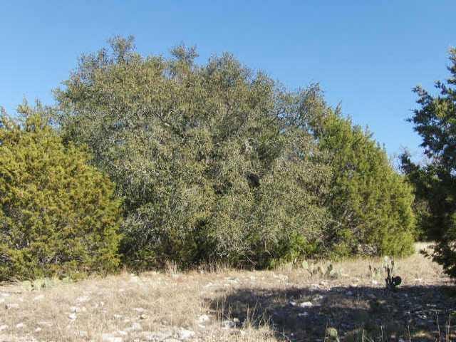 00 Co Road 336