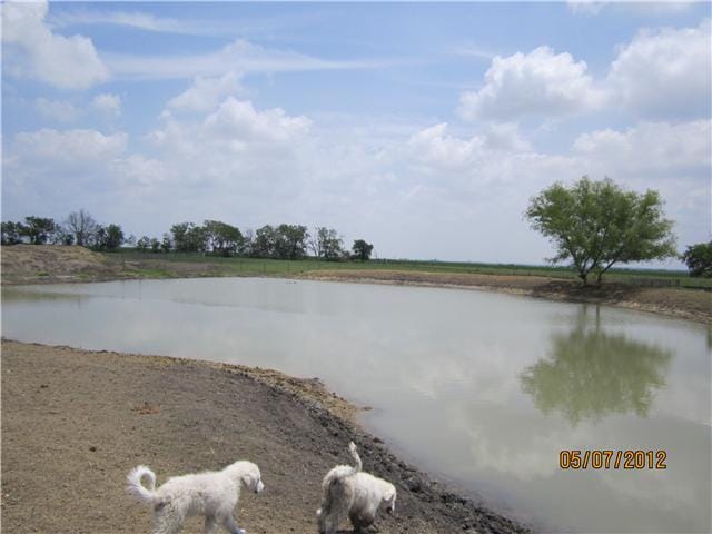 00 County Rd 452