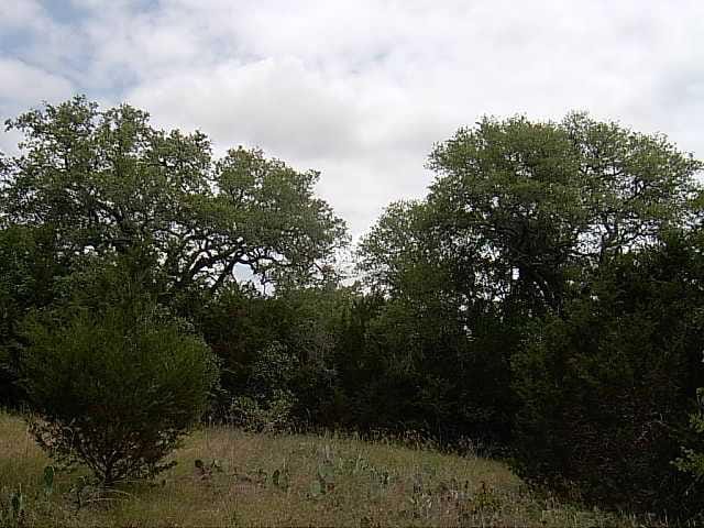 00 County Road 321