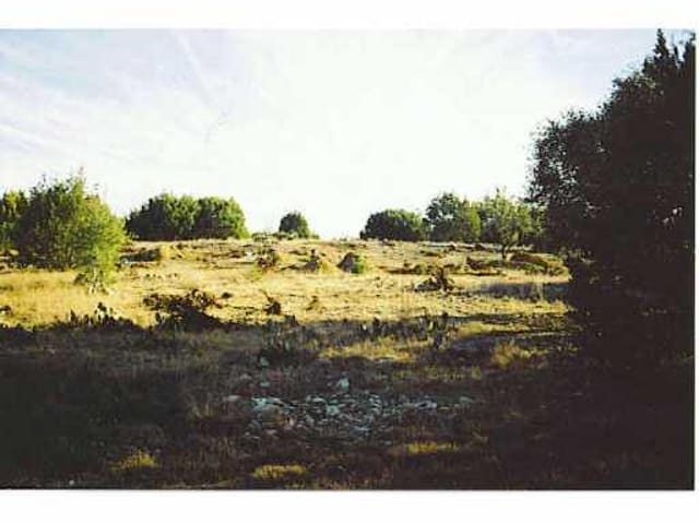 00 County Road 336