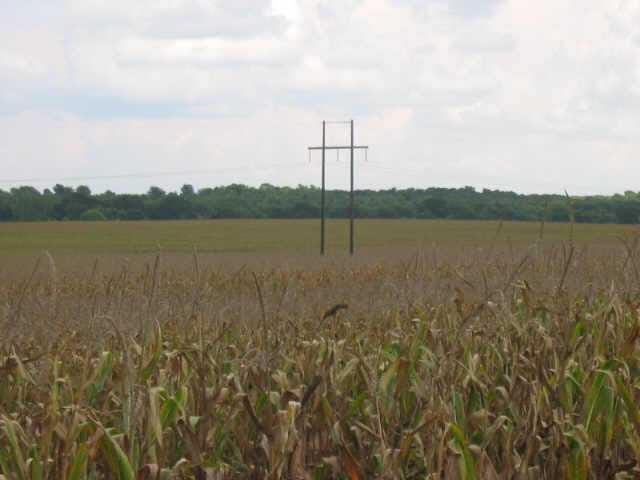 00 County Road    456