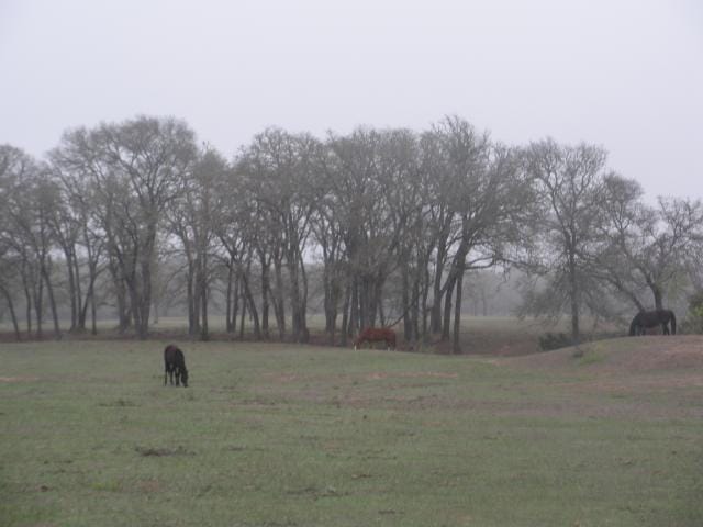 00 Fm 812