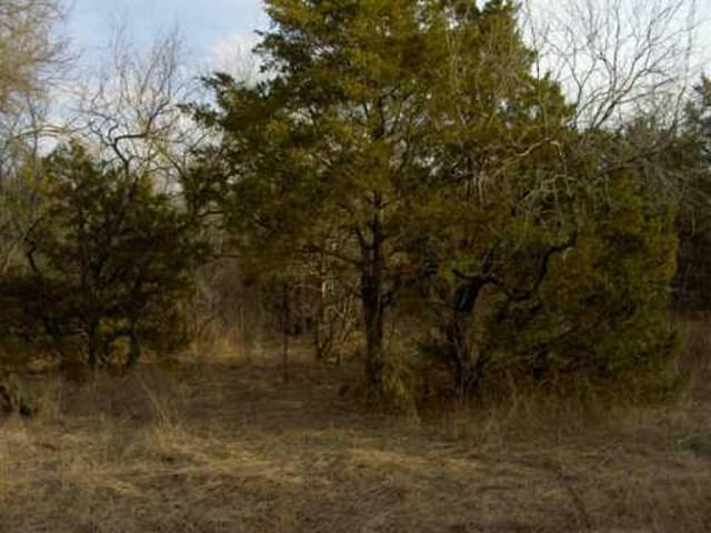 00 Forest RD