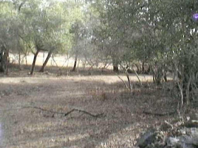 00 Lone Man MTN