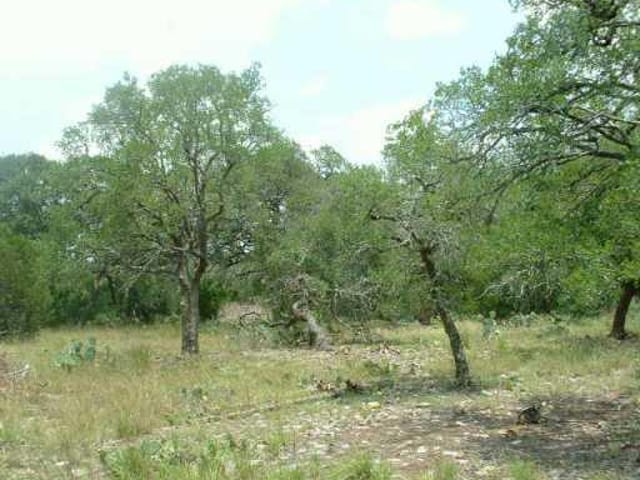 00 OAKWOOD LOOP