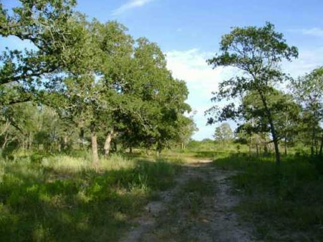 00 Patterson RD