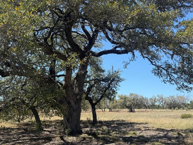 000 Barton Bend Lot 7 & Lot 6 BND