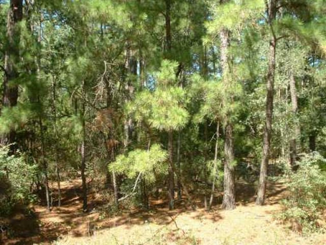 000 BLUEBONNET DR