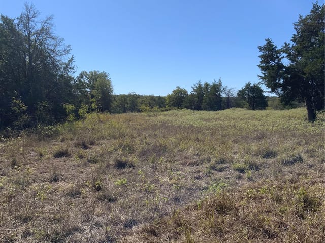 000 County Road 304