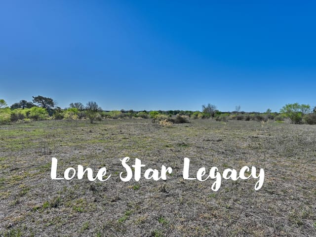 000 CR 406/Branecky Rd