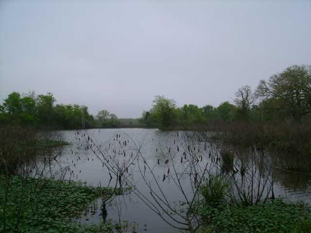 000 Easley RD