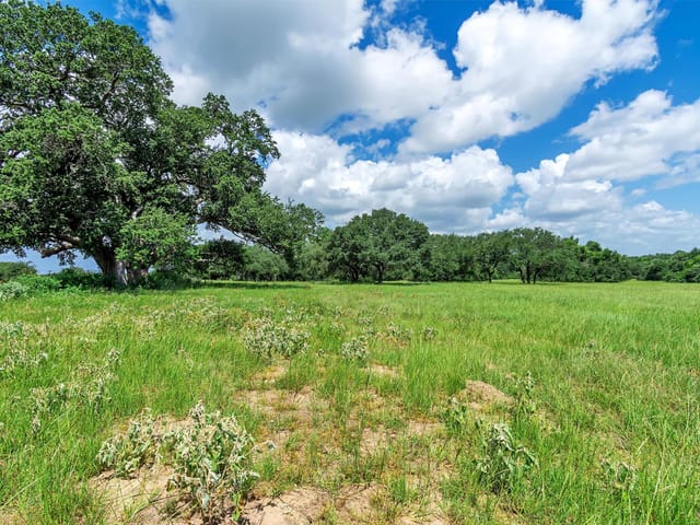000 Old Cuero RD