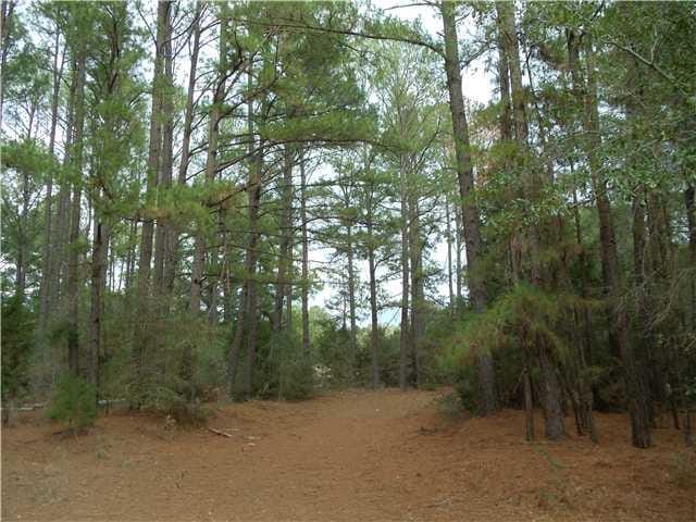 000 Old Firetower RD