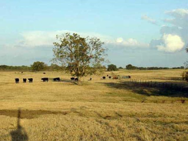 000 Old Kelly Rd & FM 20