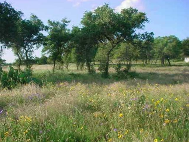 000 Regal Oaks