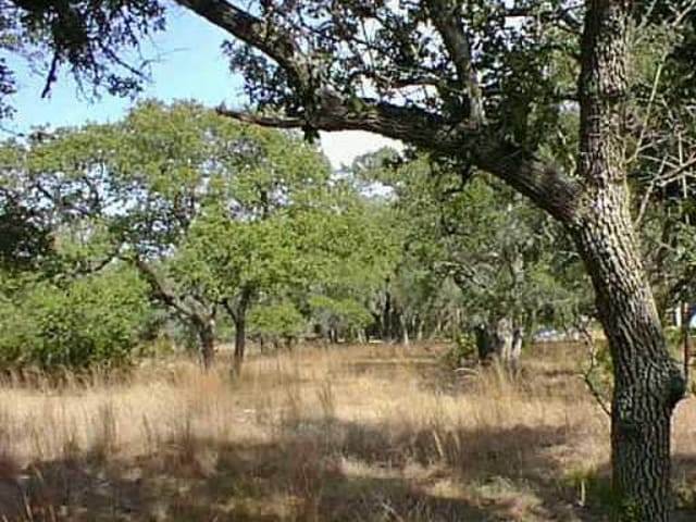 000 RIDGE OAK & WINDMILL OAK
