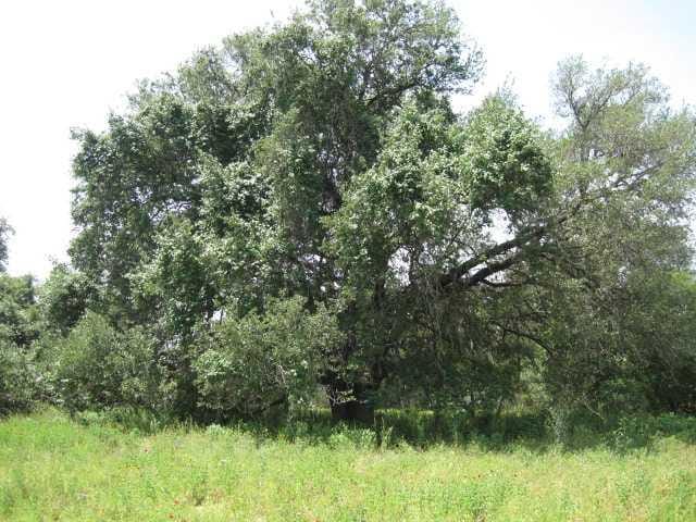 000 Sandy Creek Ranch RD
