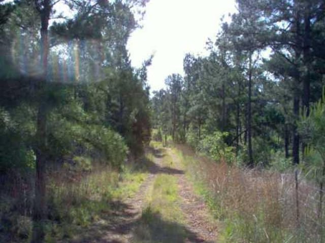 000 Sandy RD
