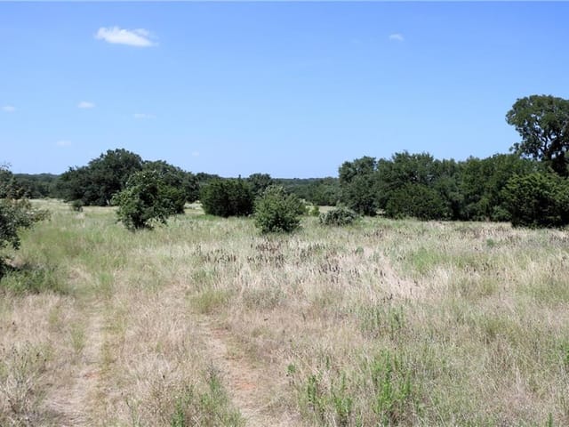 000 Shiny Top Ranch LN