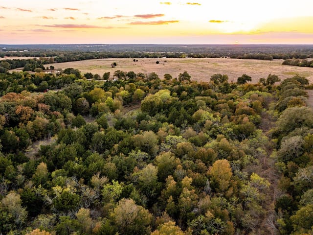 000 TBD 17+/- Ac  Grassyville Rd