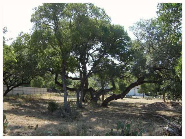 000 Willow Arbor