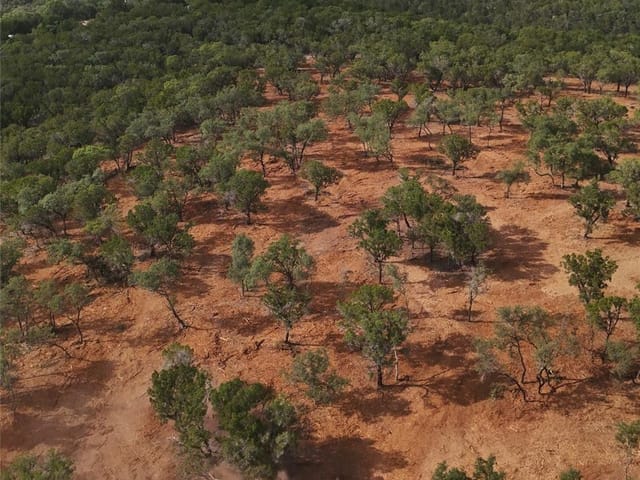 0000 Bee Creek RD