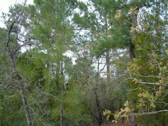 0000 Hoffman RD