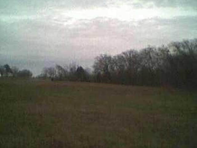 0000 Hwy 290 At Mcdade