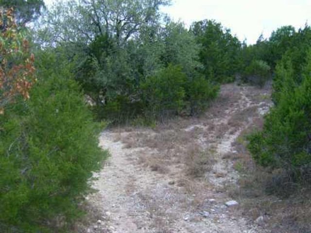 0000 Palo Pinto