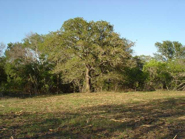 02 County Road 159