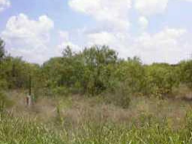 02 Mesquite DR