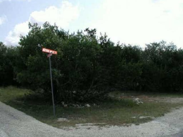 1 Button Bush CT