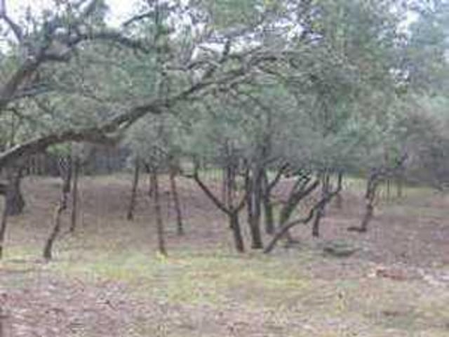 10.4 Mt Olive School RD