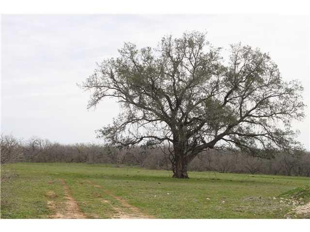 1000 Oil Field RD