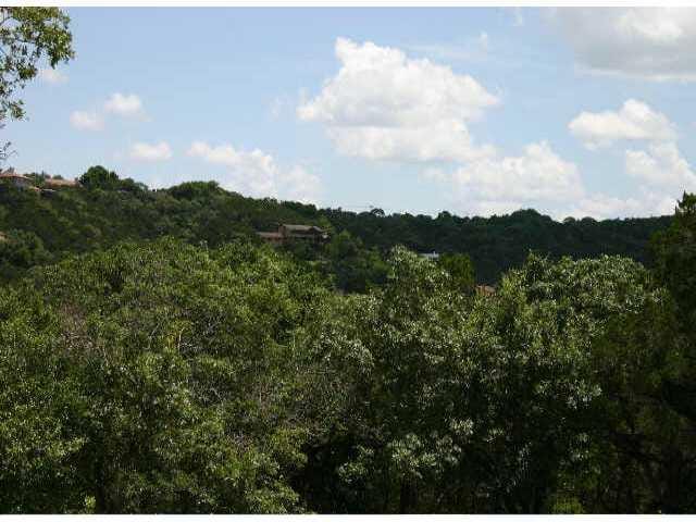 1008 Wild Basin Ledge
