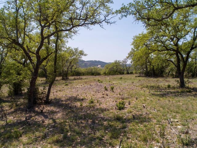 101 Bluff Ridge Trl