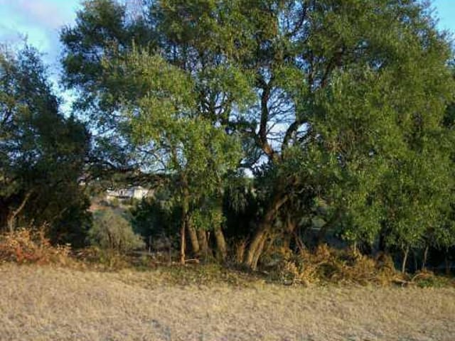1012 SALEN CV