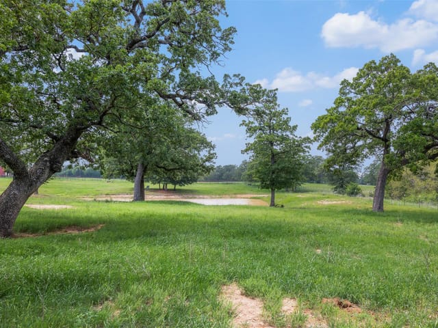 1016 County Road 306
