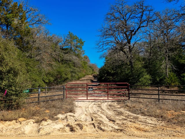 10162 County Road 321