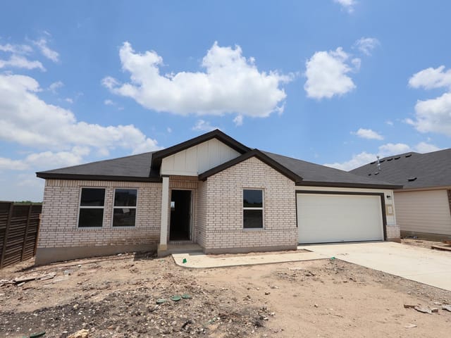 10200 Pink Billed Cuckoo DR