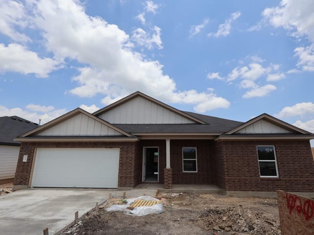 10204 Pink Billed Cuckoo DR