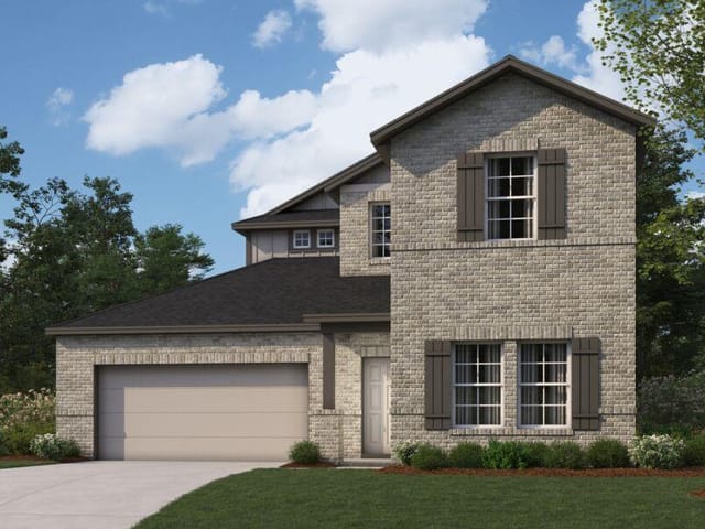 10205 Pink Billed Cuckoo DR