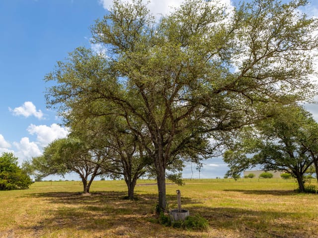 1021 E Old Hallettsville RD