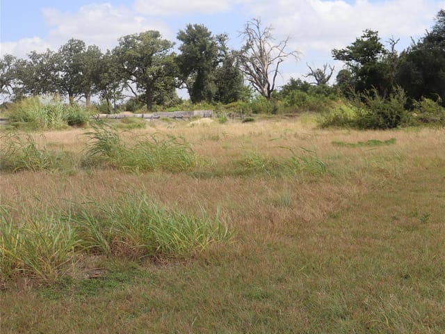 104 Mesones RD