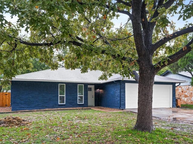 10404 Leaning Willow