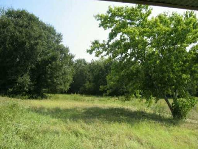 1041 County Road 417