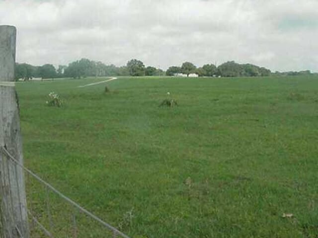 1075 County Road 302