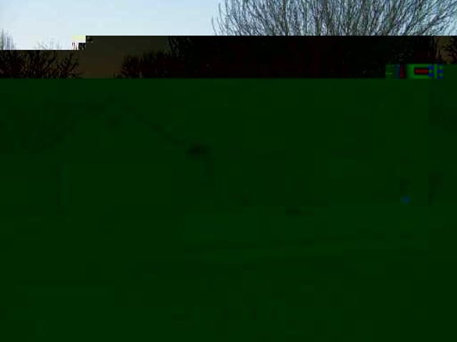 10803 Watchful Fox DR