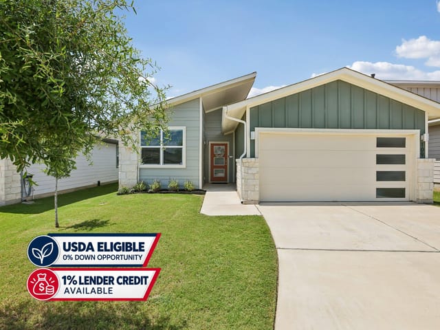 109 Filifera CT